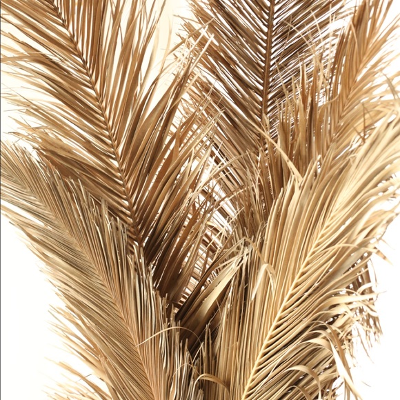 Dried Palm Leaf Decor (LARGE) - Picture 2 of 3